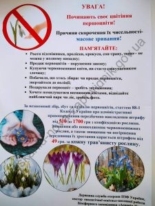 FB_IMG_1615531191576