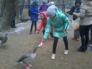 отзыв1
