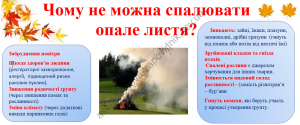 Снимок1