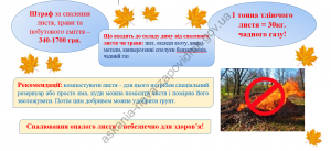 Снимок4
