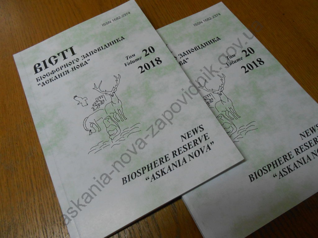 DSCN4306