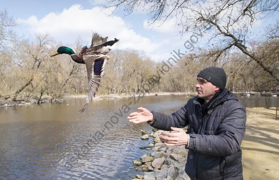 Пілотний тренінг