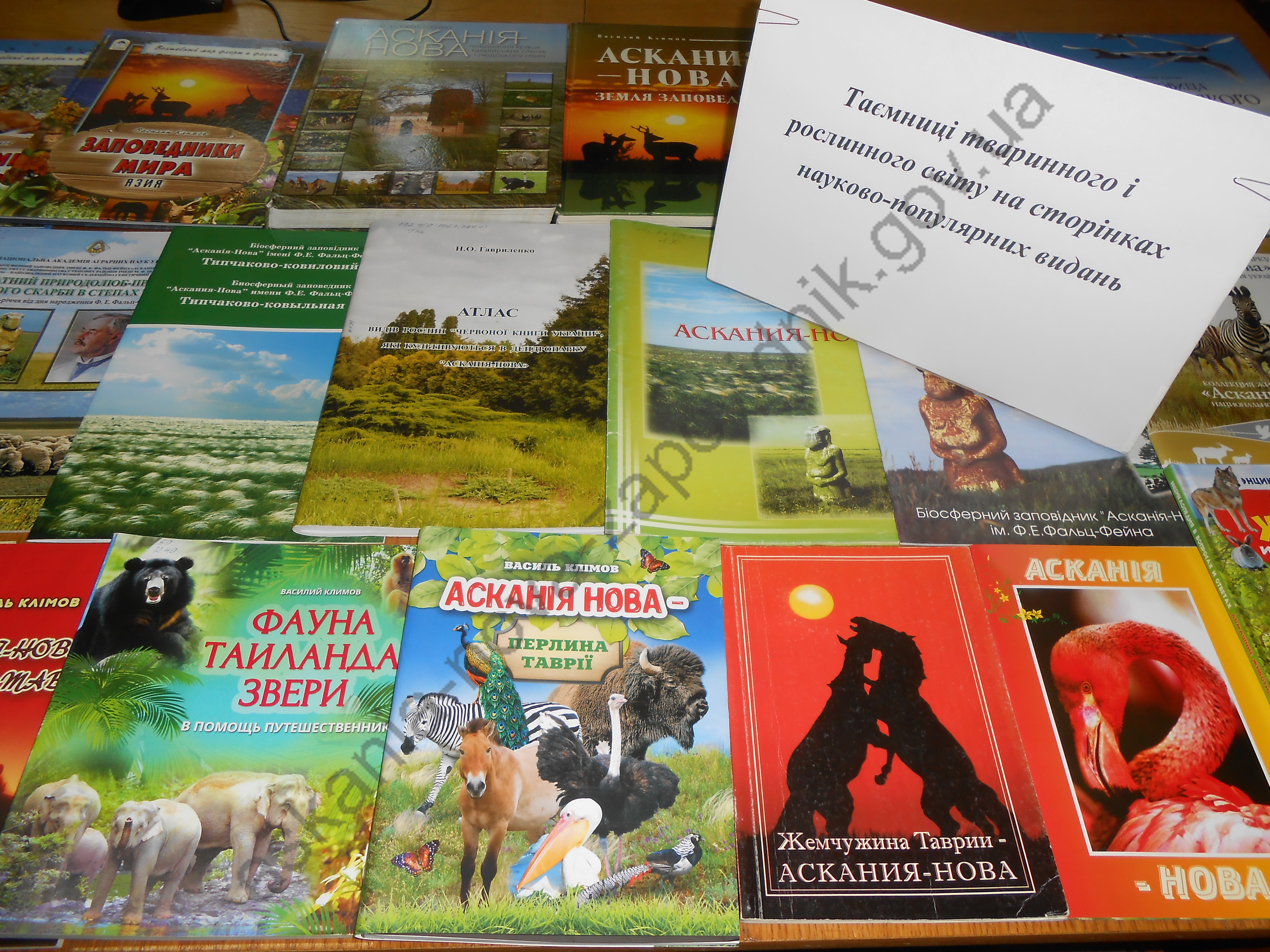 Виставка літератури!
