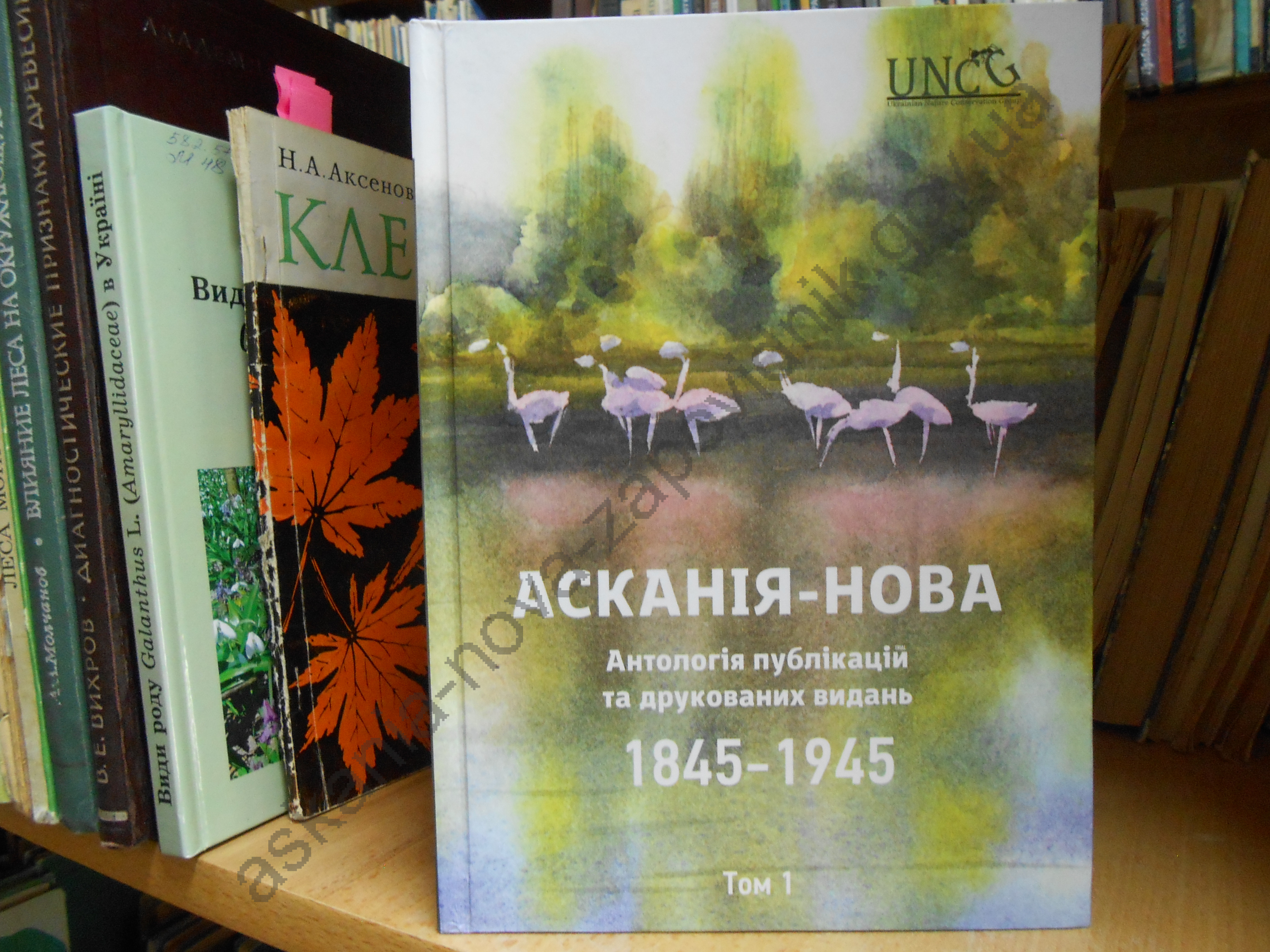 Нові надходження!